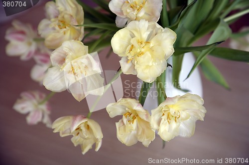 Image of Springtime