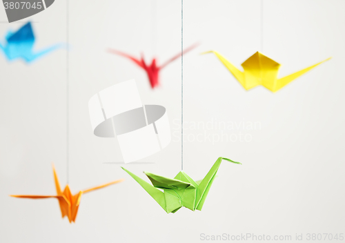 Image of origami crane birds