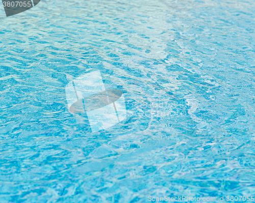 Image of pool water