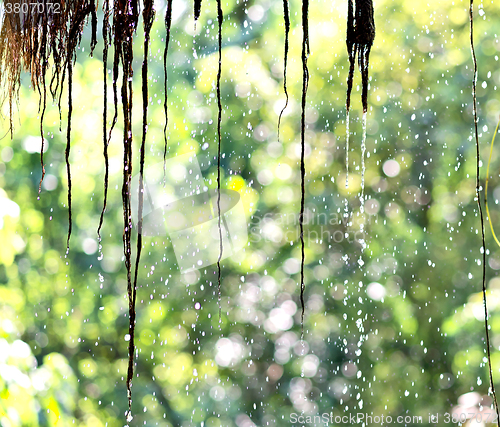 Image of rain drops background