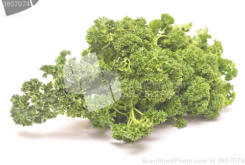 Image of fresh green parsley