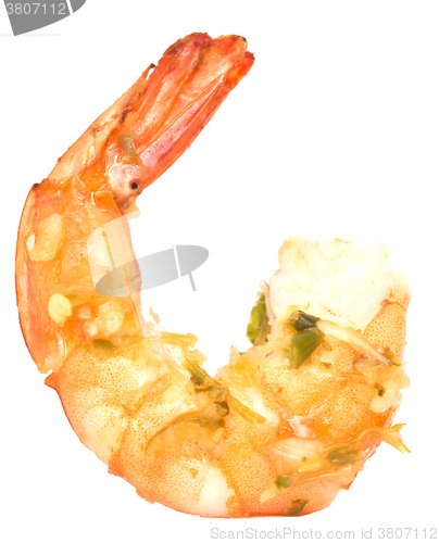 Image of grilled shrimp on white