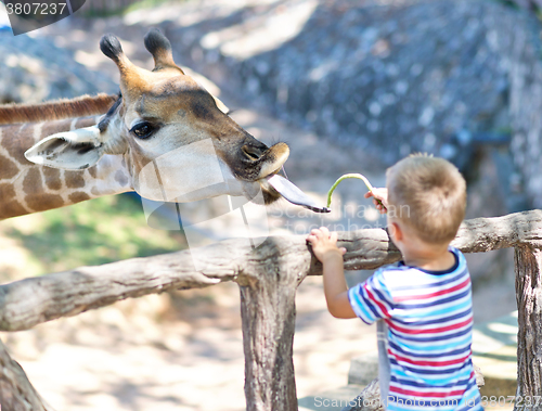 Image of in the Zoo