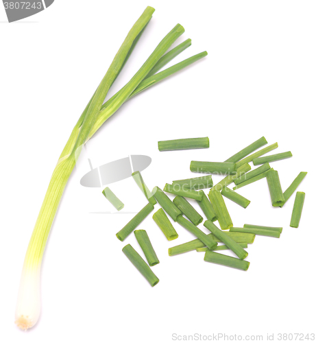 Image of fresh green onion