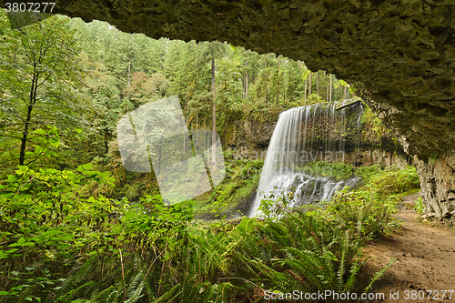 Image of Middle North Falls, Silver Falls State Park