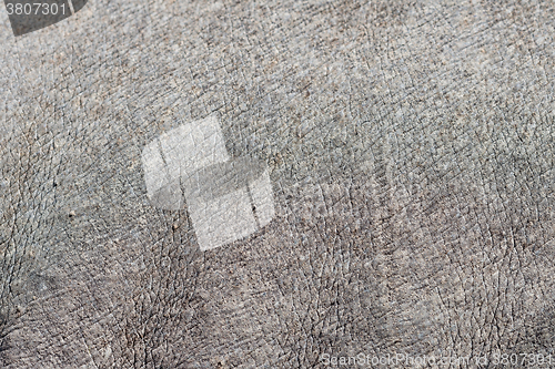 Image of rhino skin texture