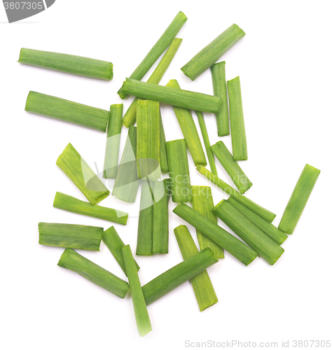 Image of fresh green onion