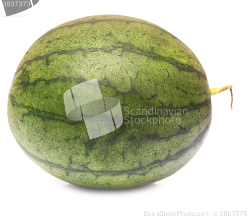 Image of watermelon on white