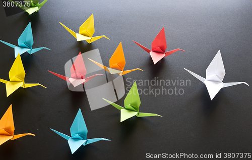 Image of origami crane birds