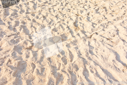 Image of sand beach texture 