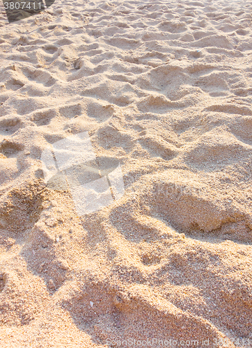 Image of sand beach texture
