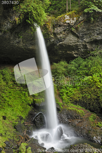 Image of North Falls, Silver Falls State Park