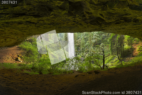 Image of North Falls, Silver Falls State Park