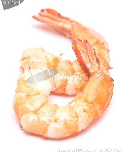 Image of grilled shrimps on white