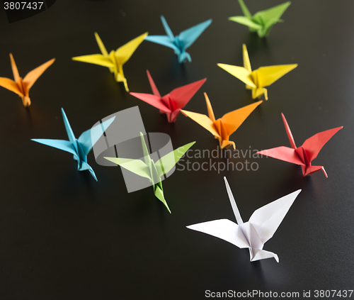 Image of origami crane birds