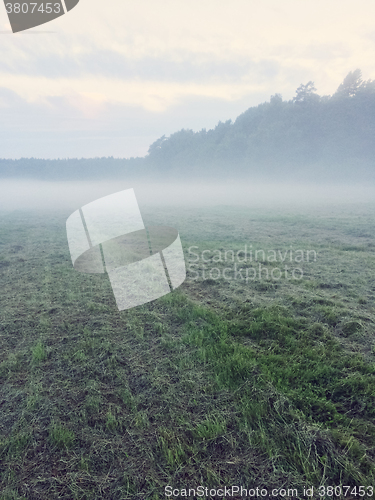 Image of Misty field with freshly mown grass