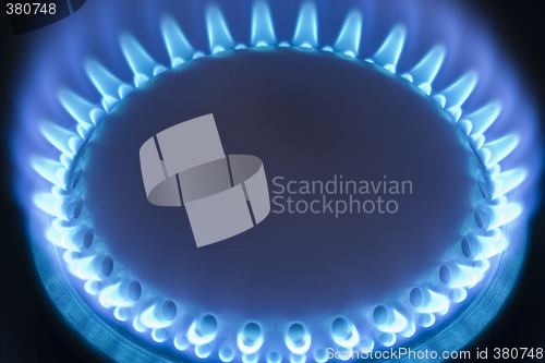 Image of Blue flames of a gas stove