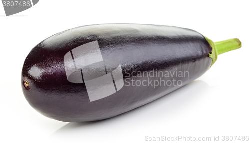 Image of fresh eggplant on white background