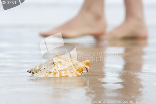 Image of Shell and bare feet on beach