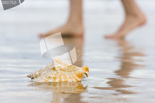 Image of Shell and bare feet on beach