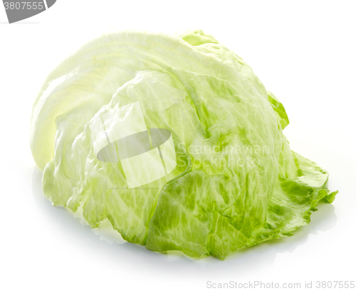 Image of green iceberg lettuce leaf