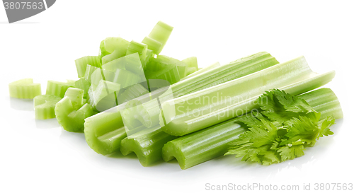 Image of green celery sticks