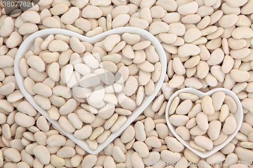 Image of Lima Beans