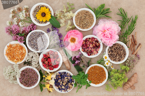 Image of Healing Flowers and Herbs