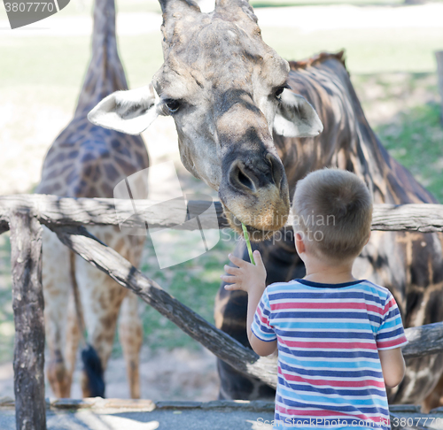 Image of in the Zoo