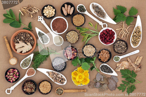 Image of Healing Herbs for Women