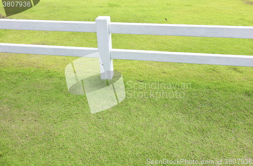 Image of white fence and grass