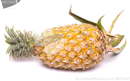 Image of pineapple