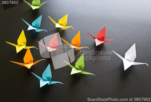 Image of origami crane birds