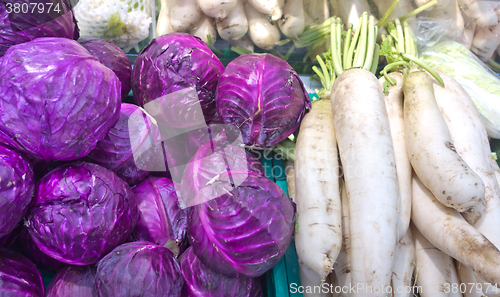 Image of red cabbages and dajkons