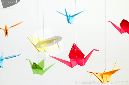 Image of origami birds on white