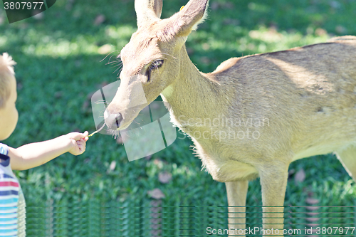 Image of baby in the Zoo