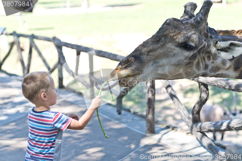 Image of in the Zoo