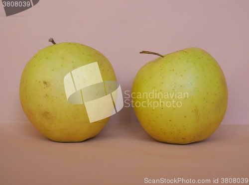 Image of Yellow apple fruits