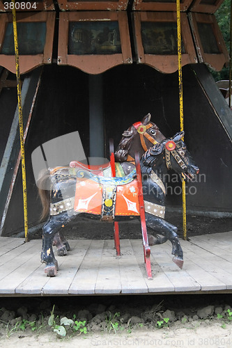 Image of old horses