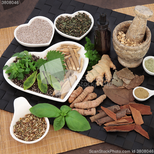 Image of Alternative Medicine for Men