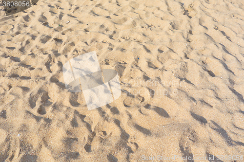 Image of sand beach texture