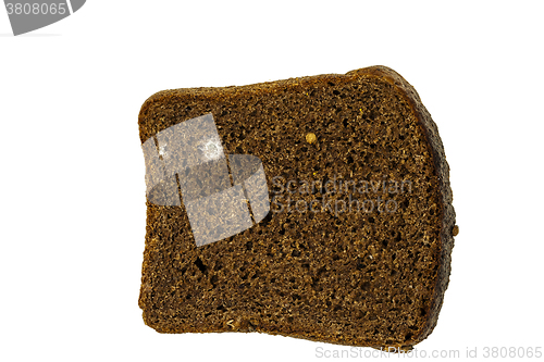 Image of bread mold. close-up  