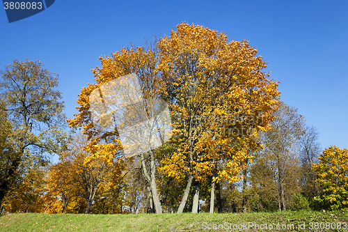 Image of autumn season ,  foliage