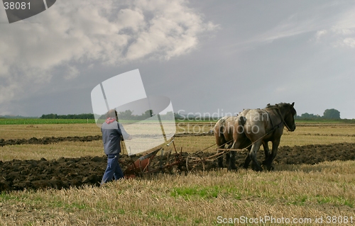 Image of Farmer