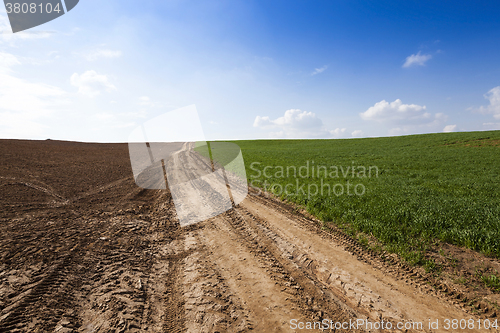 Image of Spring road ,  countryside 