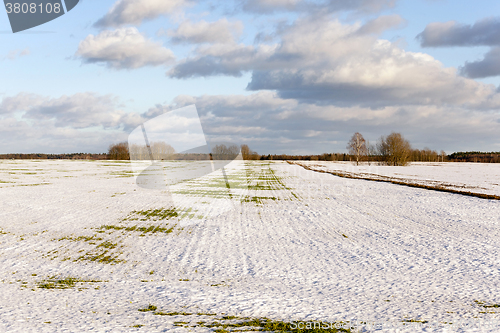 Image of snow covered field 