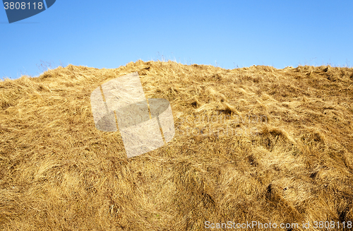 Image of part of the haystack  
