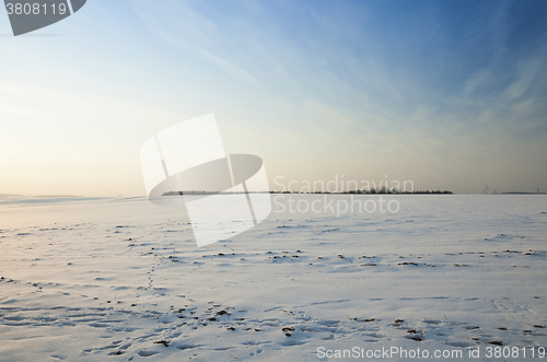 Image of the field covered with snow  