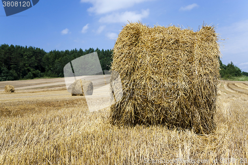 Image of haystacks straw  . summer