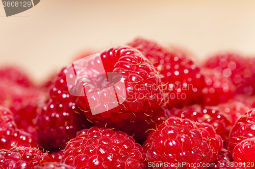 Image of red raspberry  , close-up  